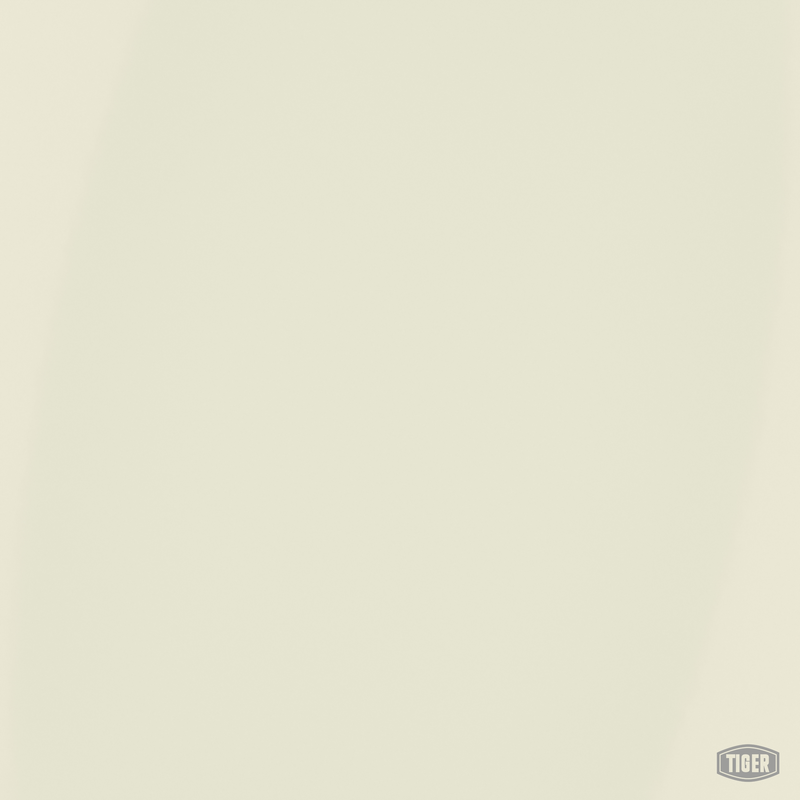Daylightページ 09/10140 - RAL 9016 Traffic White - TIGER Coatings