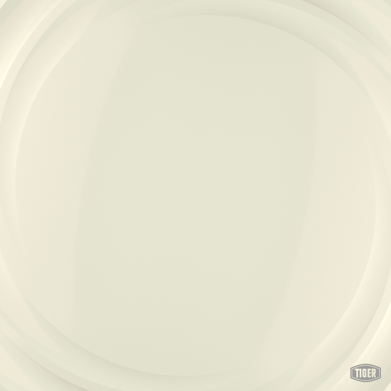 09/10140 - RAL 9016 Traffic White - TIGER Coatings