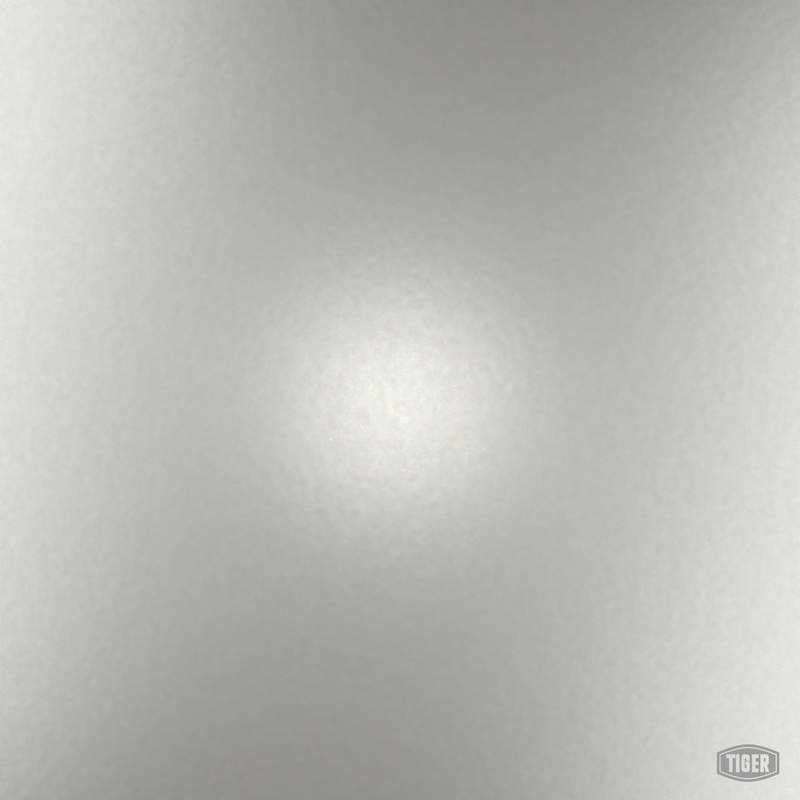 09/91651 - sand silver - TIGER Coatings