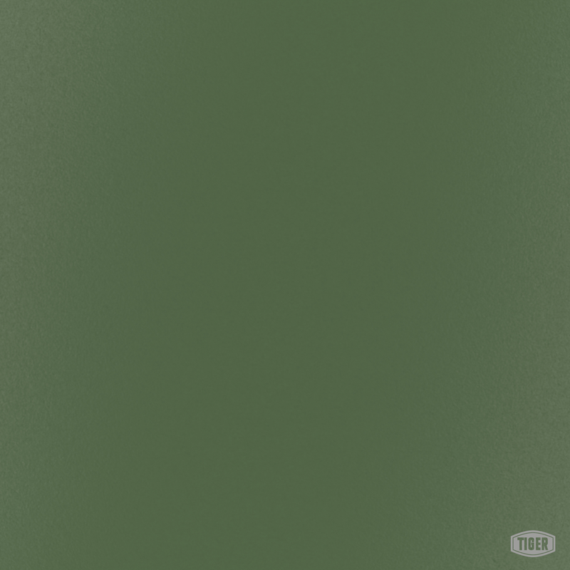 29/51342 - RAL 6011 Reseda Green - TIGER Coatings