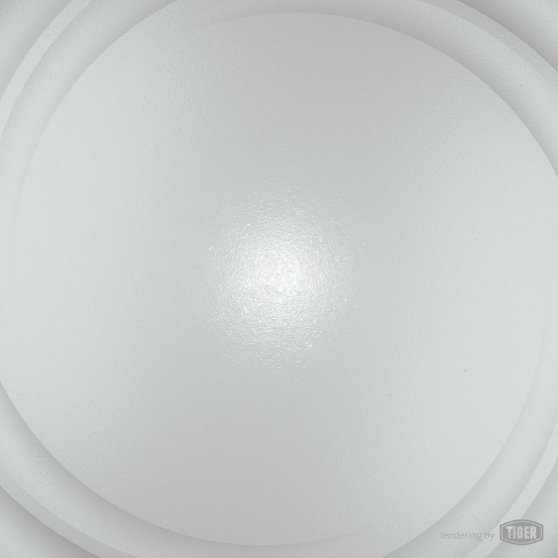 29 90208 approx. RAL 9006 White Aluminium TIGER Coatings