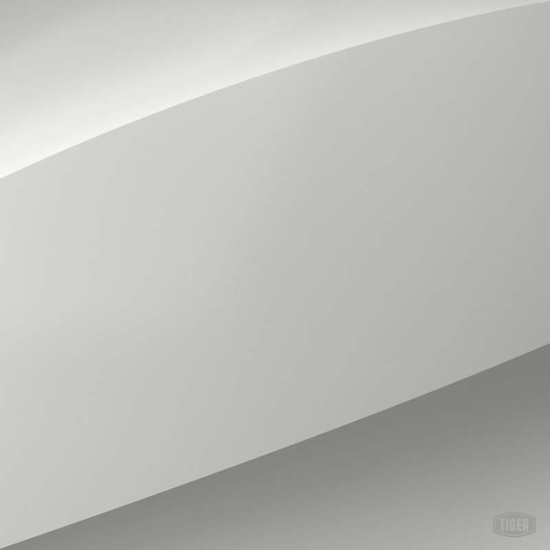 09/10900 - RAL 9003 - TIGER Coatings