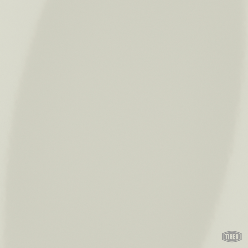 49/12577 - INSIGNIA WHITE AMS STD 17875