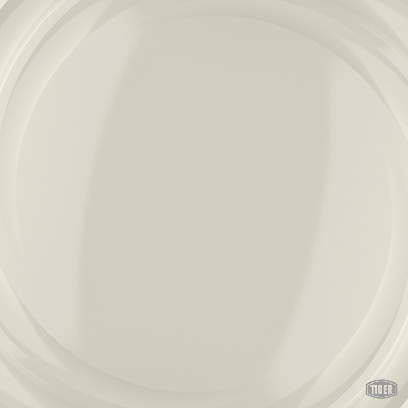 49/12577 - INSIGNIA WHITE AMS STD 17875