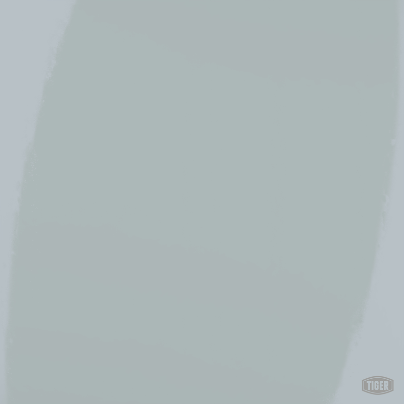 139/70010 - ANSI/ASA-70 - TIGER Coatings