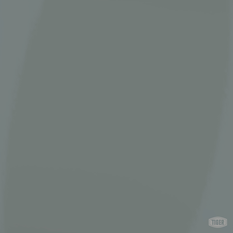 139/70200 - ANSI/ASA-49 - TIGER Coatings