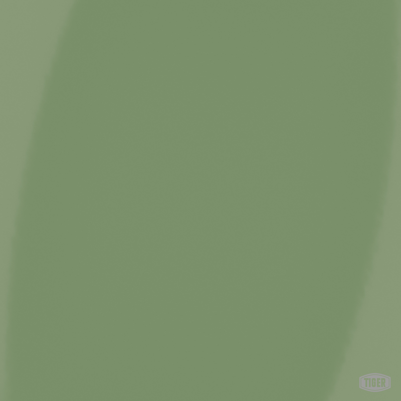 149/52700 - RAL 6021 - TIGER Coatings