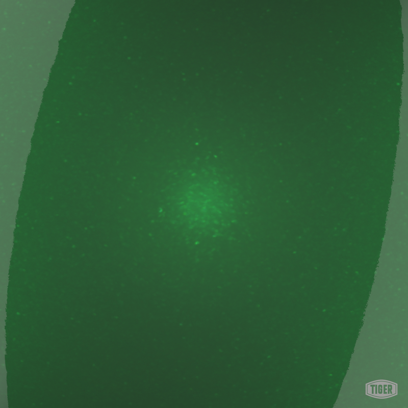 418/50024 - Dormant Sparkle Green - TIGER Coatings